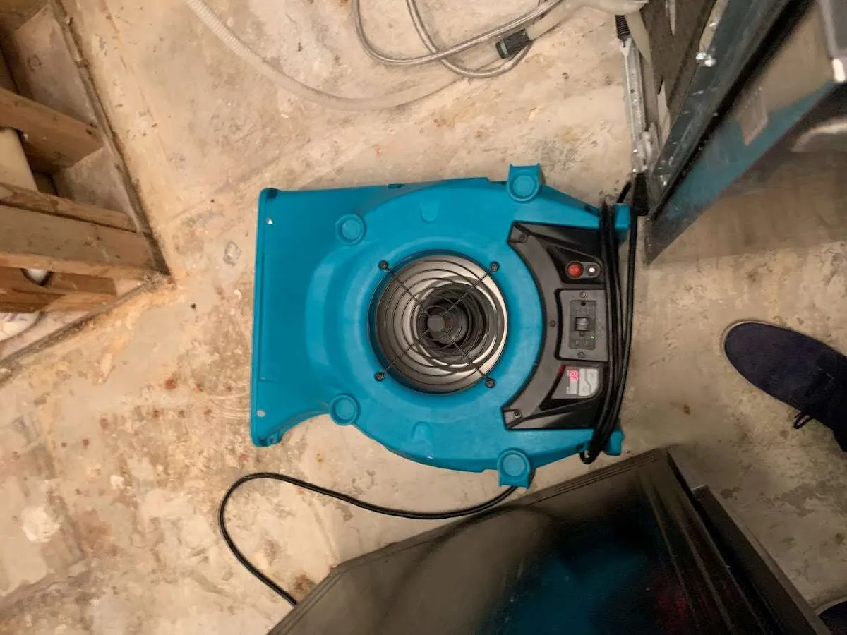 Air mover drying equipment for Mold Remediation & Removal in Tisbury